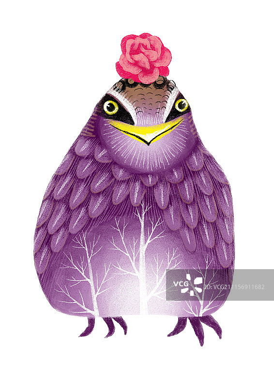 背景分离元素共3000多幅-美丽的鹌鹑鸟图片素材