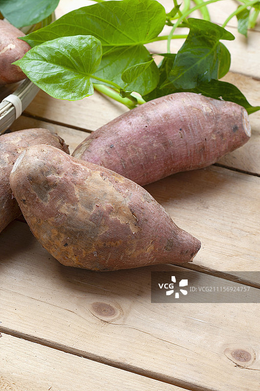 农作物 地瓜图片素材