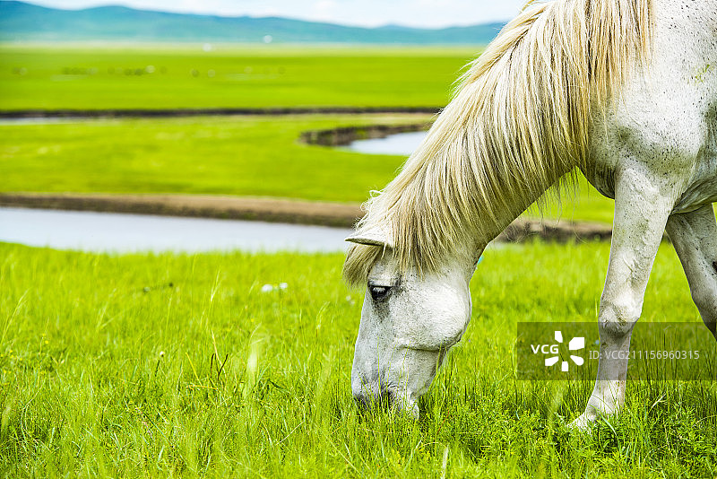 呼伦贝尔图片素材