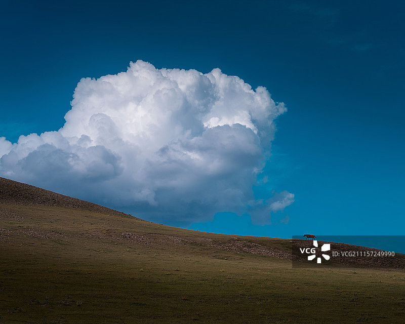 草原上的云和马图片素材
