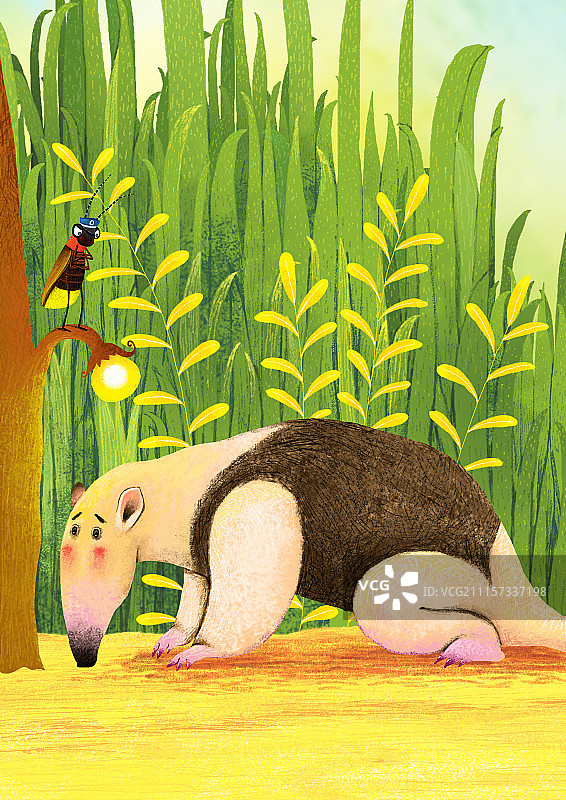 动物插画系列作品共3000幅-食蚁兽和萤火虫图片素材