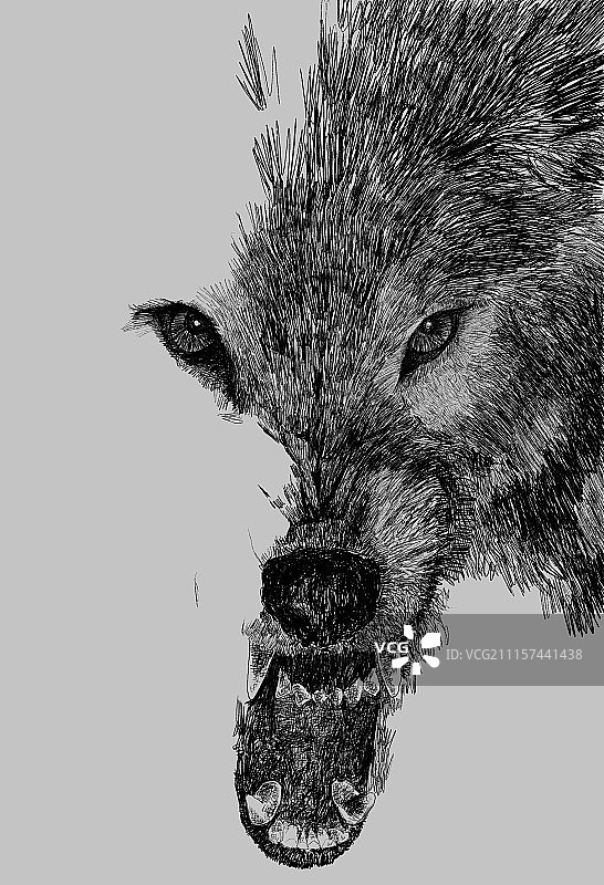 蛪——逐渐消失的朋友图片素材