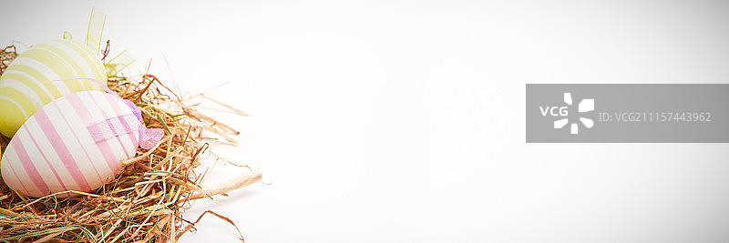 稻草中的两个复活节彩蛋图片素材