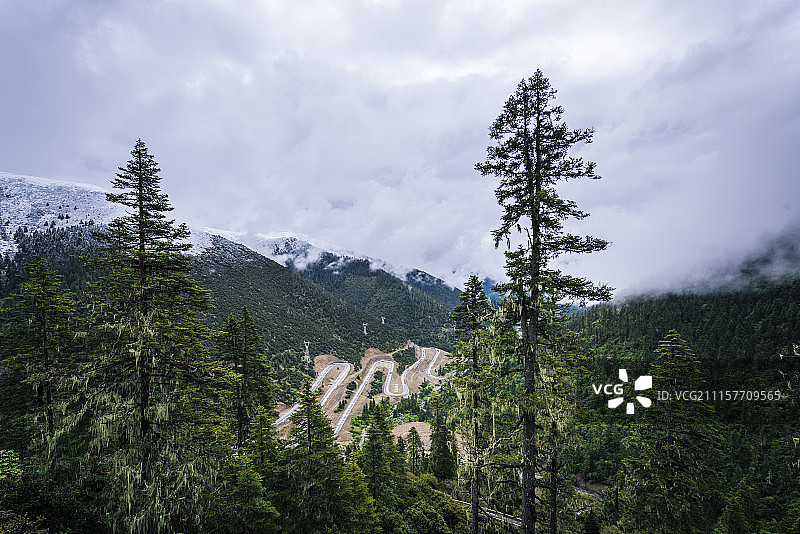 雪山松林中的十八盘山路图片素材