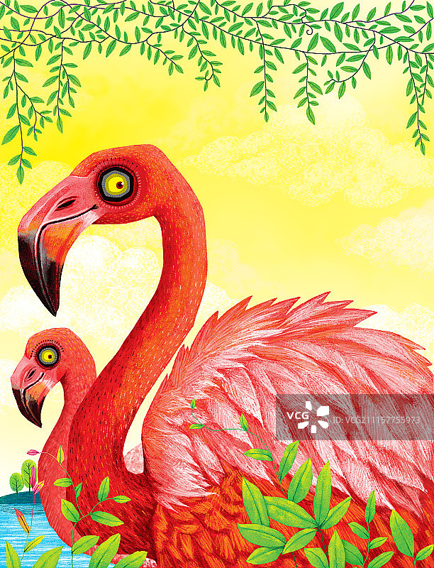 动物插画系列作品共3000幅-火烈鸟插画组图-陪伴图片素材