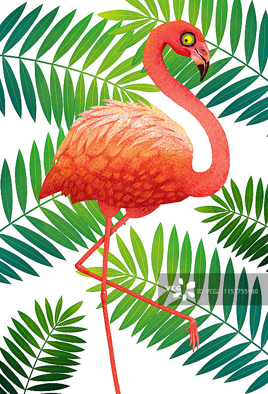 动物插画系列作品共3000幅-火烈鸟插画组图-树林里的火烈鸟图片素材