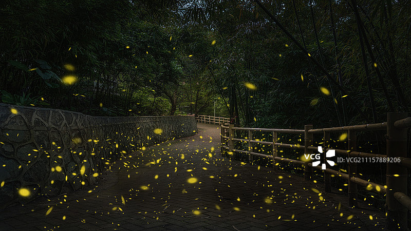 户外萤火虫图片素材