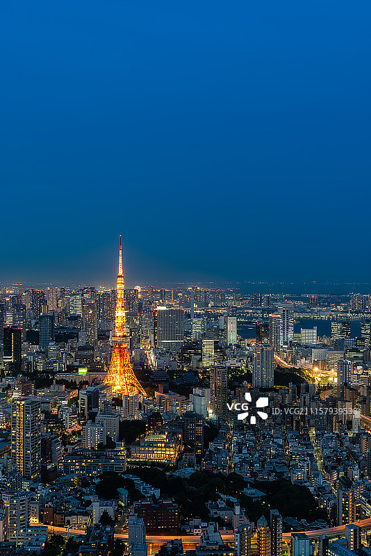 日本东京电视塔夜景高清图图片素材