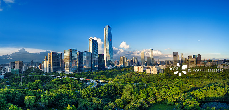 绿色城市深圳风光图片素材