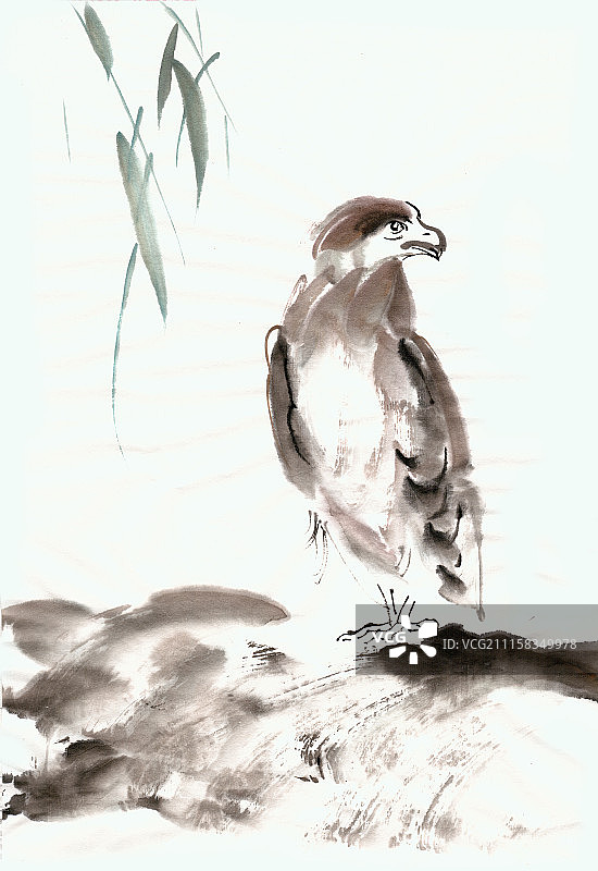 水墨小鸟图片素材