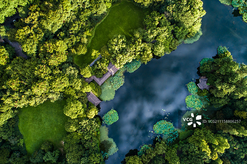 曲院风荷航拍图片素材