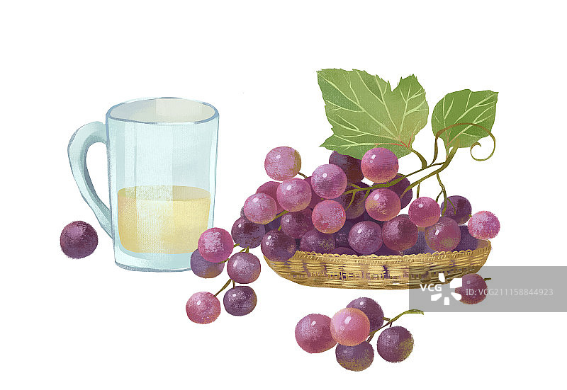 葡萄4图片素材