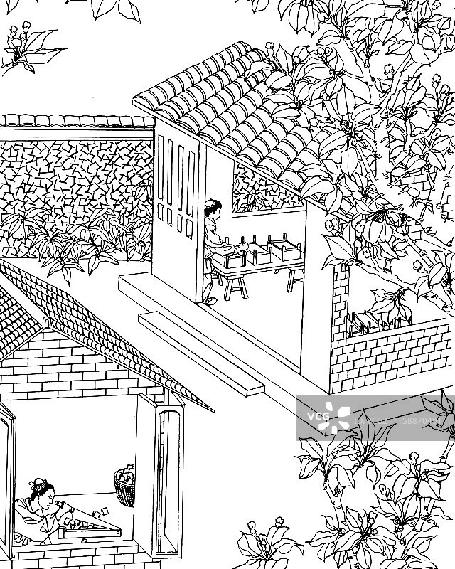 阿胶制作流程图图片素材