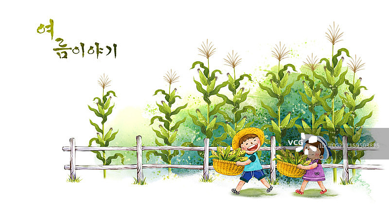 夏天的插图图片素材