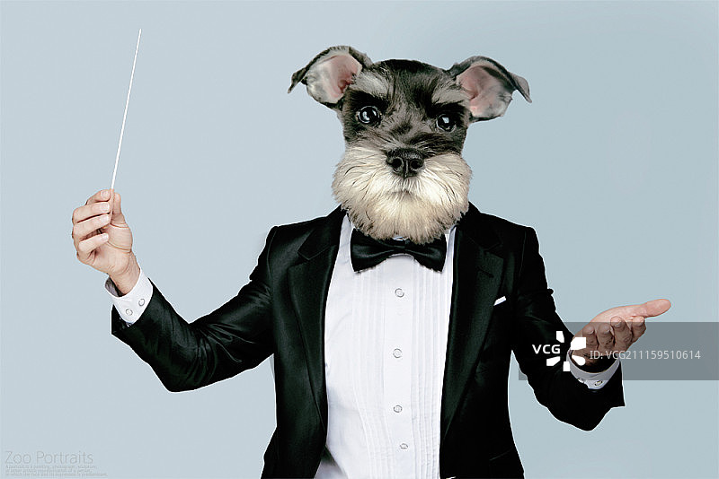 盛装打扮的动物合成图像图片素材