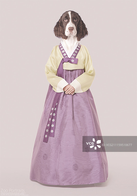 盛装打扮的动物合成图像图片素材