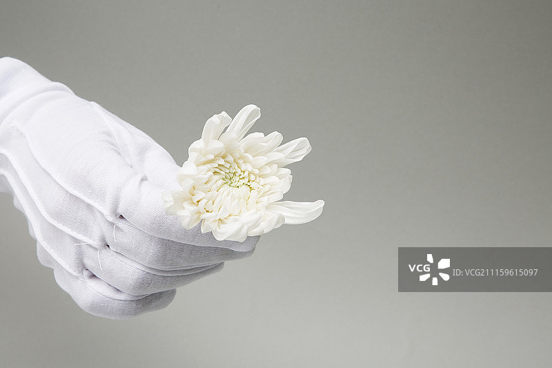 特殊节日活动道具照片191图片素材