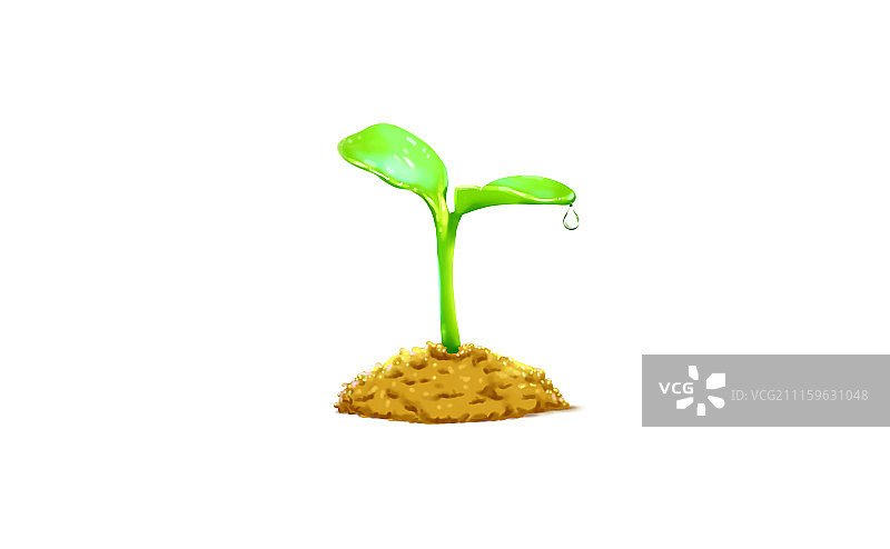 种子 种苗 生命  希望  绿色 环保 水珠图片素材