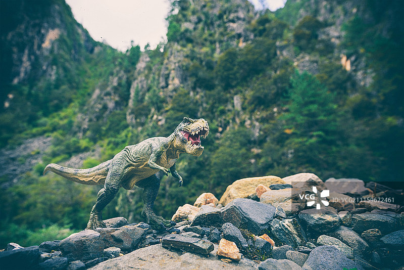 丹巴暴龙图片素材