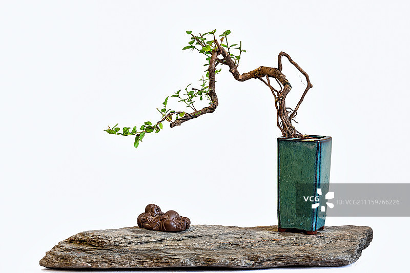 中式盆景图片素材