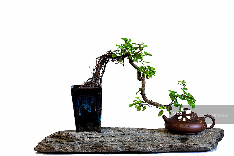 中式盆景图片素材