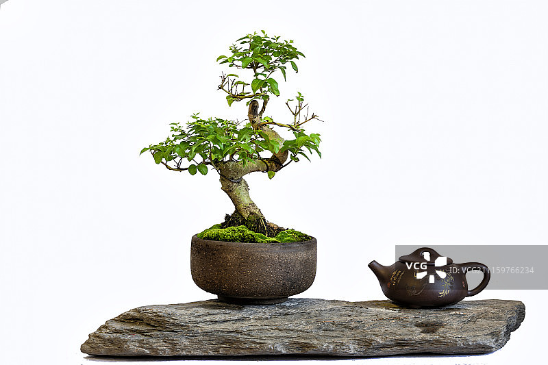 中式盆景图片素材