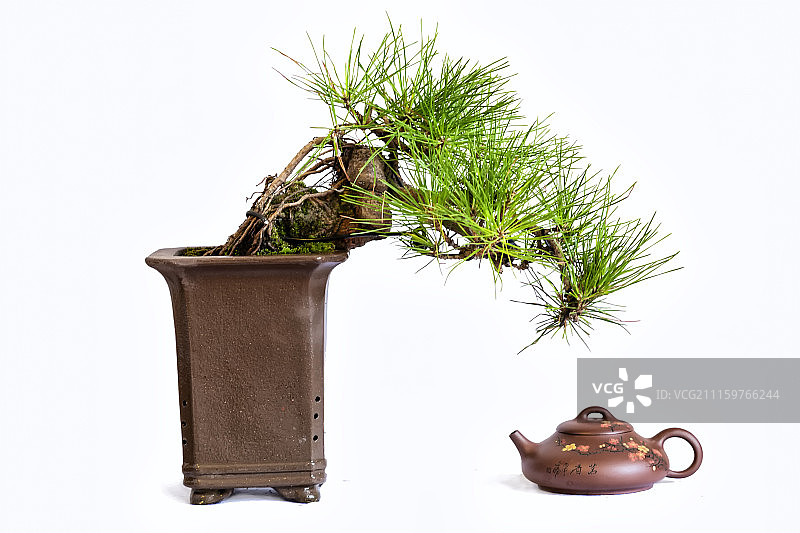 中式盆景图片素材