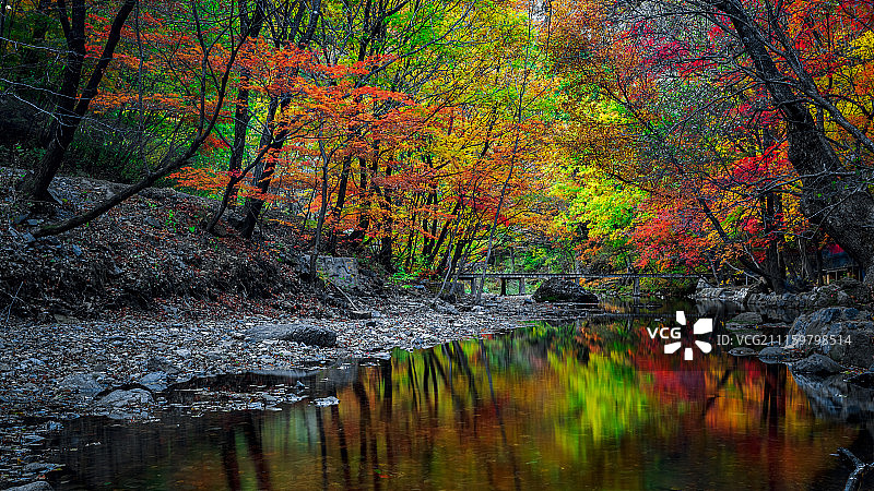 辽宁本溪关门山秋色枫叶图片素材