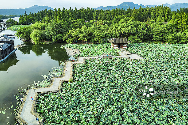 航拍杭州曲院风荷图片素材