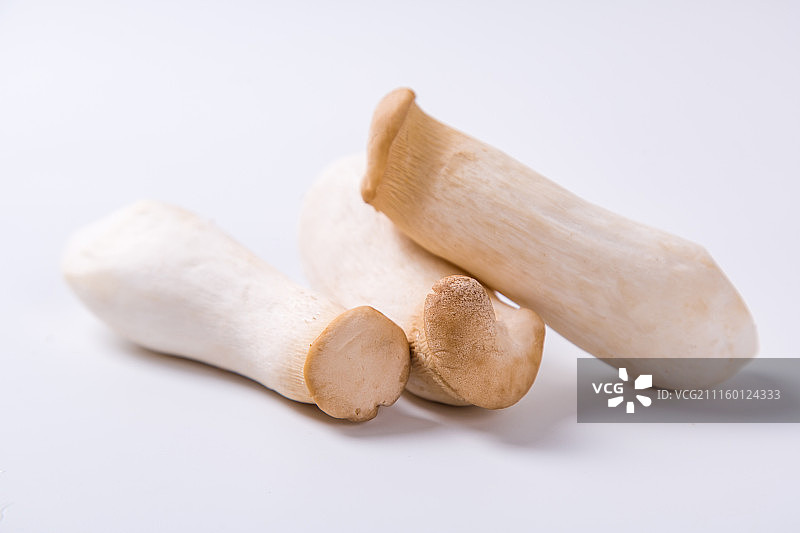 杏鲍菇图片素材