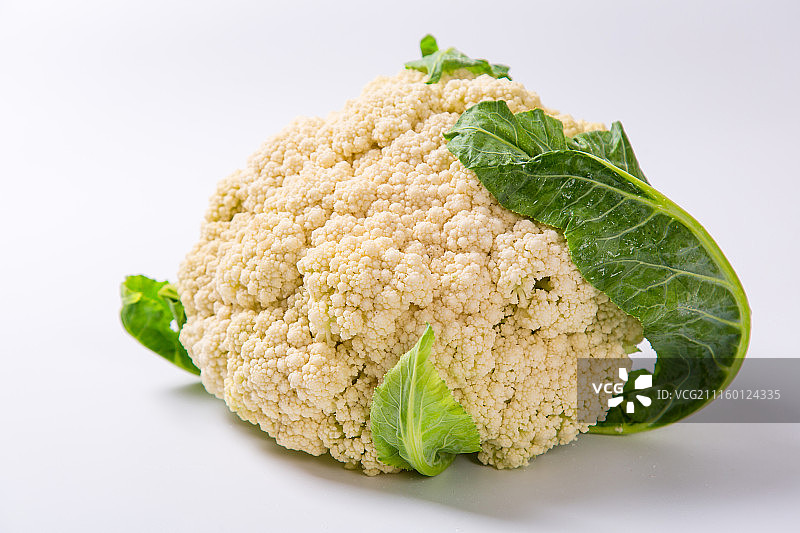 松菜花图片素材