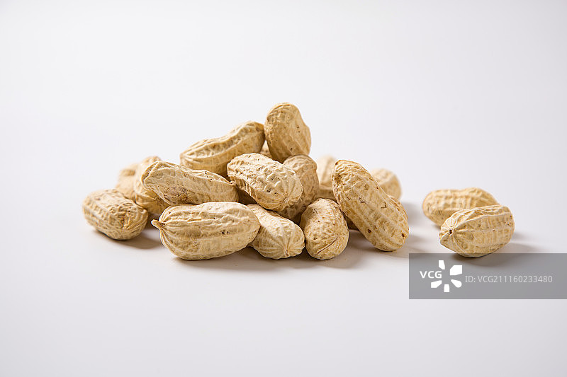 花生图片素材