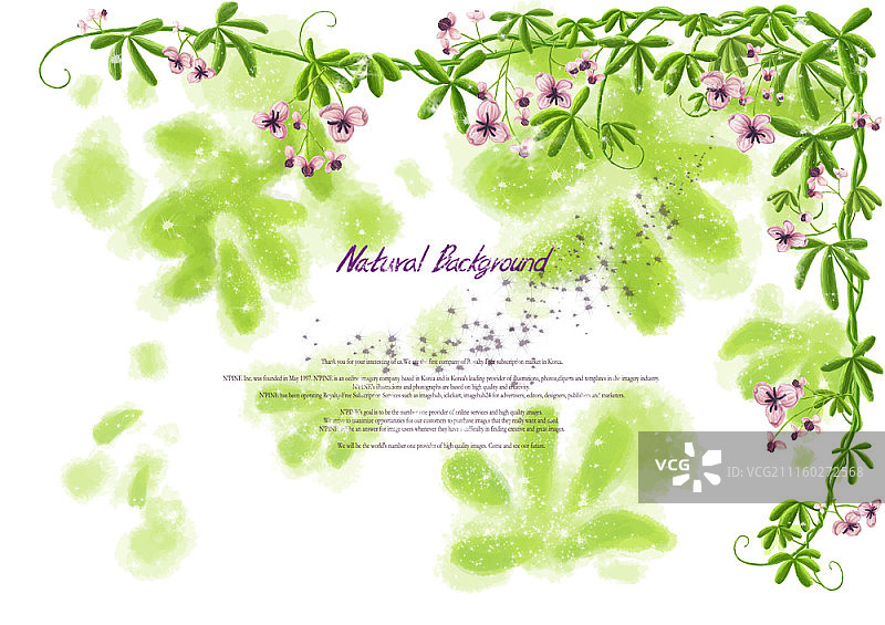 花的背景图片素材