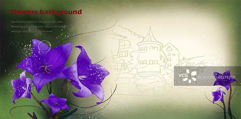 花的背景图片素材