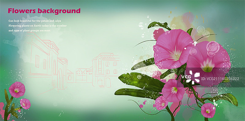 花的背景图片素材