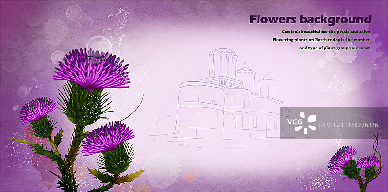 花的背景图片素材