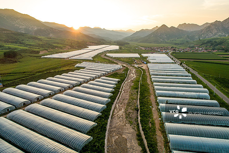 日落下的蔬菜大棚图片素材