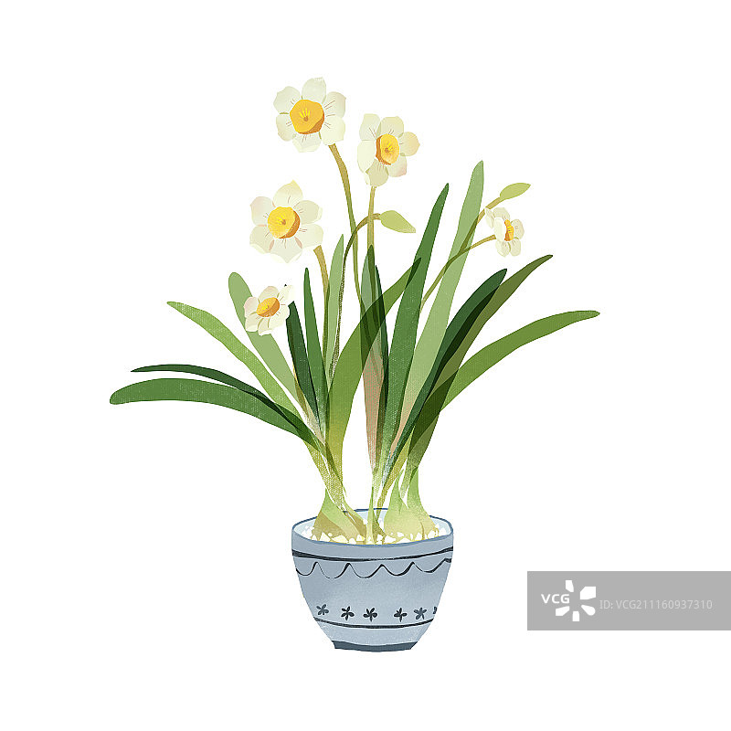水仙花2图片素材