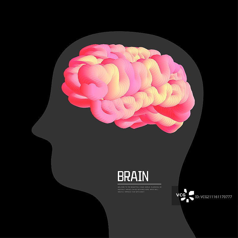 人类大脑矢量创意图图片素材
