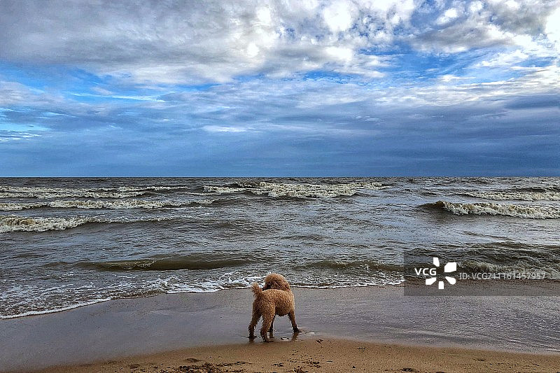 中俄边境兴凯湖图片素材