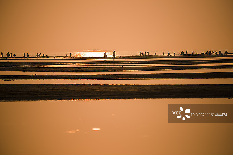 河北秦皇岛北戴河海岸金色旋律图片素材