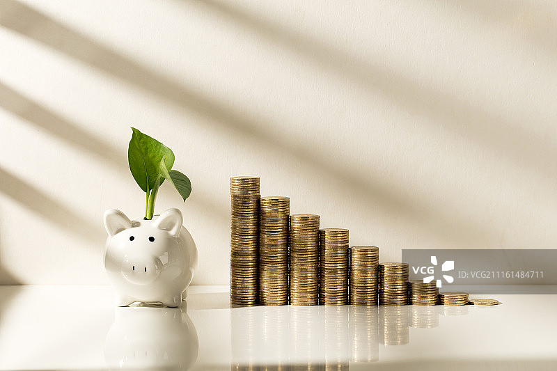 阳光照射的硬币、存钱罐和绿叶图片素材