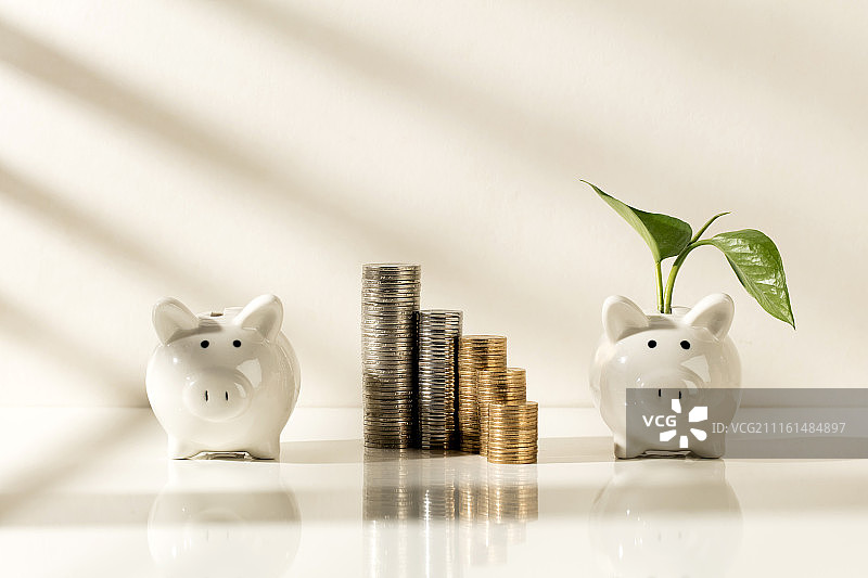 阳光照射的硬币、存钱罐和绿叶图片素材