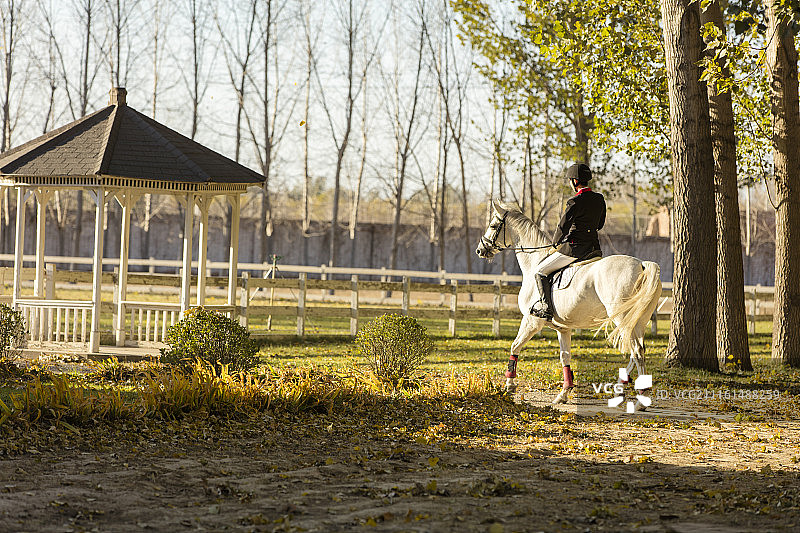 青年骑手在骑马图片素材