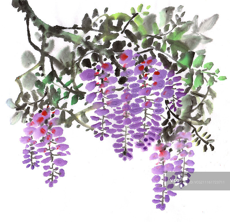 中国画水墨花卉系列第一季共1000幅-紫藤花图片素材