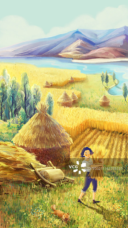 芒种收麦子节气图无文案图片素材