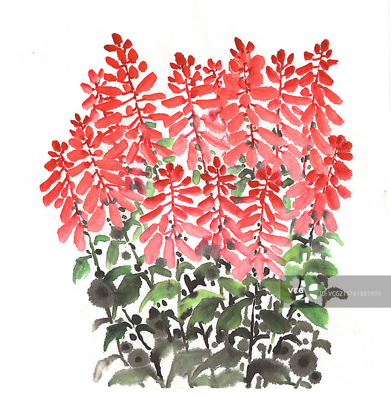 中国画水墨花卉系列第一季共1000幅-一串红图片素材