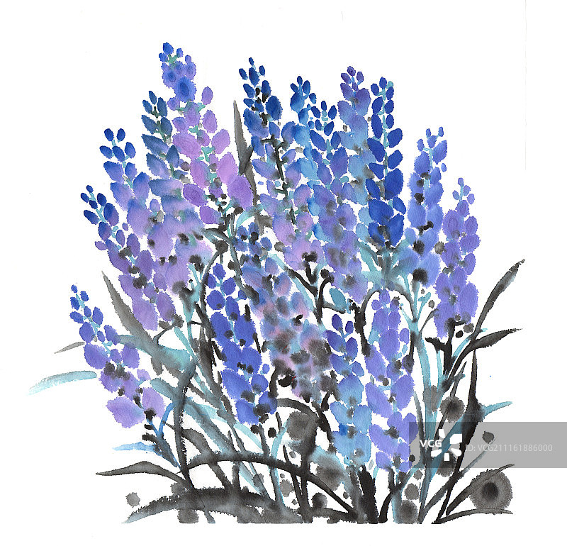 中国画水墨花卉系列第一季共1000幅-薰衣草图片素材