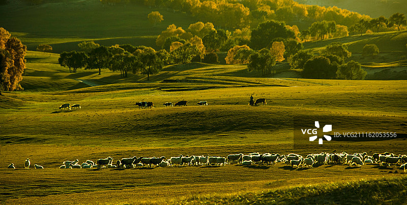 河北省坝上草原风光图片素材