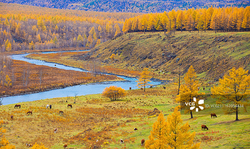 内蒙古阿尔山的不冻河图片素材